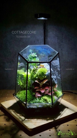 Terrarium 220 - Cottagecore