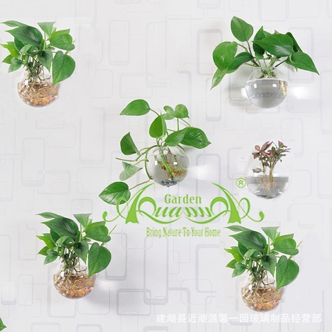 Set Áp Tường 11 - Trầu Bà