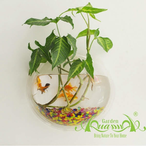 Set Áp Tường 01 - Môn Hợp Quả