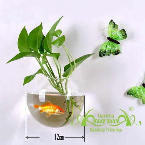 Set Áp Tường 11 - Trầu Bà