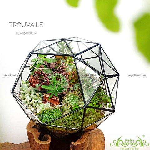 Terrarium 44 - Trouvaile