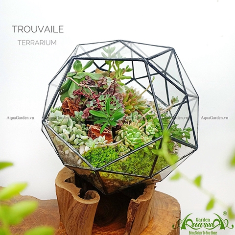 Terrarium 44 - Trouvaile