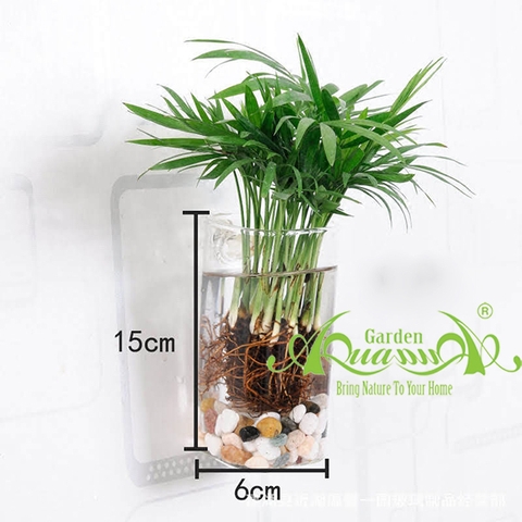 Set Áp Tường 12 - Cau Tiểu Trâm