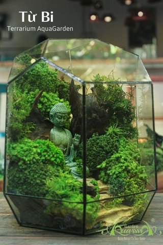 Terrarium 02 - Từ Bi