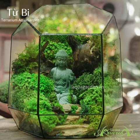 Terrarium 02 - Từ Bi