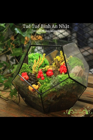 Terrarium 16 - Tuế Tuế Bình An Nhật