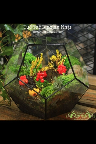 Terrarium 16 - Tuế Tuế Bình An Nhật