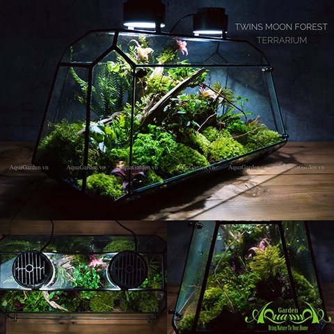 Terrarium 111 - Twins Moon Forest