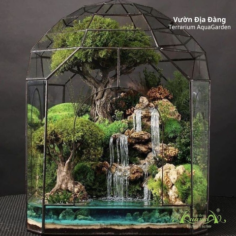 Terrarium 85 - Vườn Địa Đàng