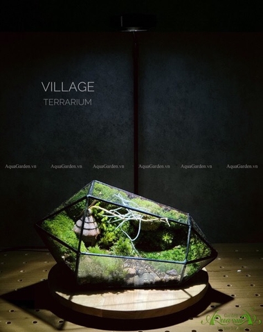 Terrarium 233 - Village