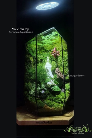 Terrarium 338 -  Vô Vi Tự Tại