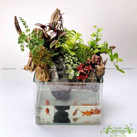 Terrarium 22 - Thác Nước