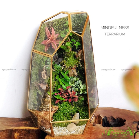 Terrarium 98 - Mindfulness