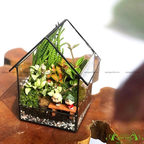 Terrarium 27 - Đưa Em Về Thanh Xuân