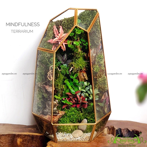 Terrarium 98 - Mindfulness