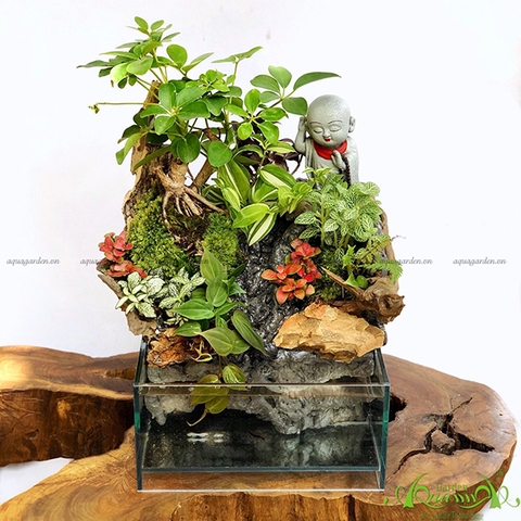 Terrarium 24 - Thác An Nhiên