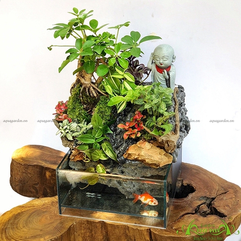 Terrarium 24 - Thác An Nhiên