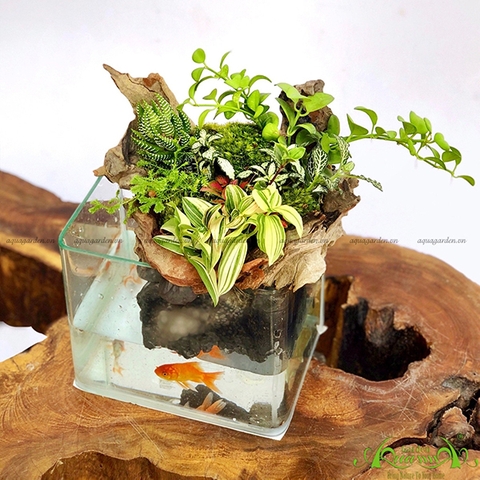 Terrarium 23 - Hòn Non Bộ Mini