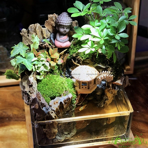 Terrarium 37 - Cầu Nối Tinh Thần