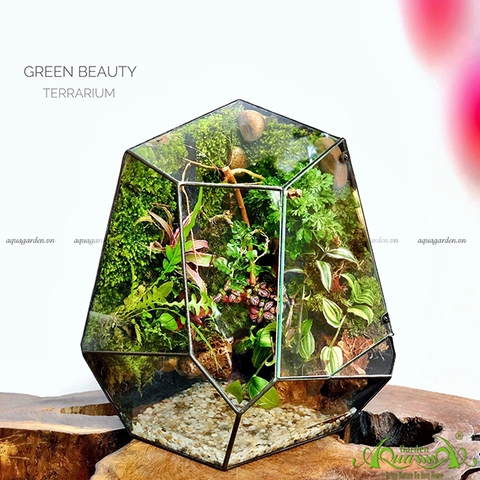 Terrarium 107 - Green Beauty