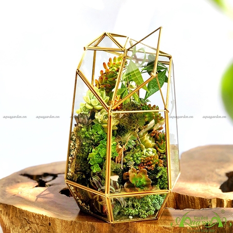 Terrarium 33 - Vườn Tài Lộc