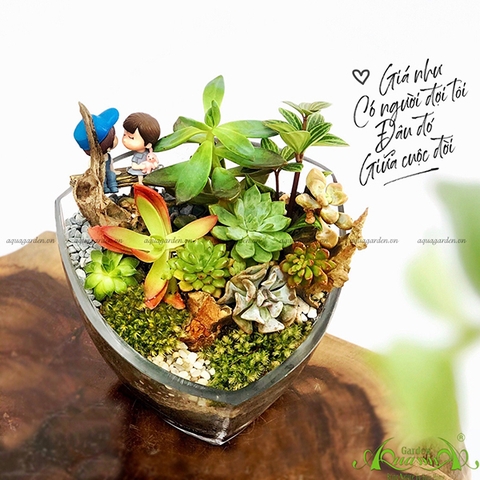 Terrarium 21 - Hành Trình Tìm Hạnh Phúc