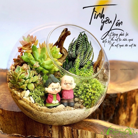 Terrarium 15 - Tình Yêu Lớn