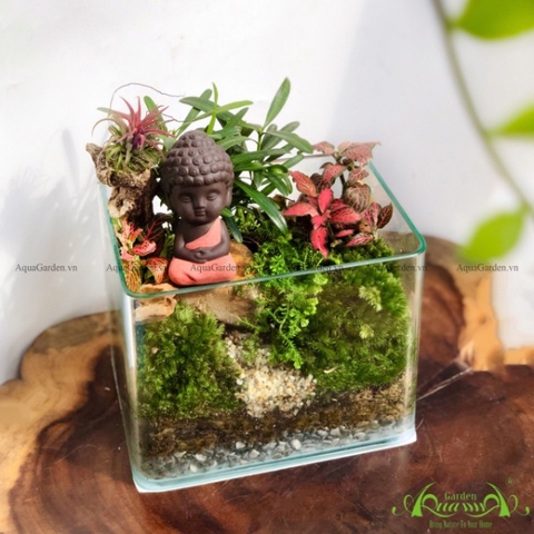 Terrarium 64 - Tâm An