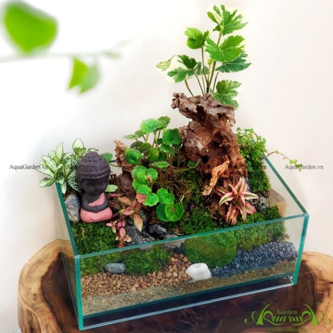 Terrarium 65 - Vườn Yên