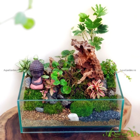 Terrarium 65 - Vườn Yên