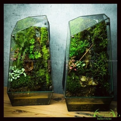 Terrarium 134 - Green Heaven