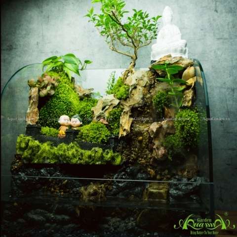 Terrarium 137 - Hồ Uyên Ương