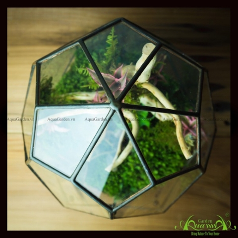 Terrarium 138 - Crystal Swan Egg