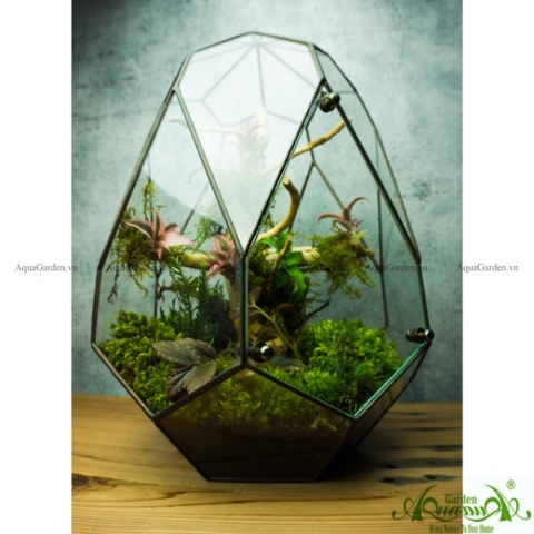 Terrarium 138 - Crystal Swan Egg