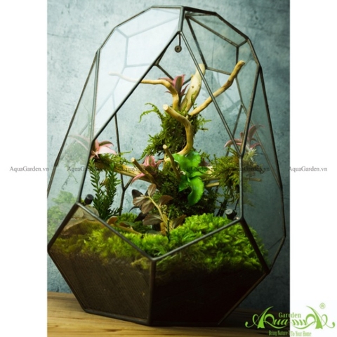 Terrarium 138 - Crystal Swan Egg