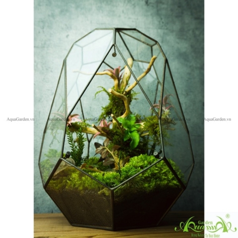 Terrarium 138 - Crystal Swan Egg