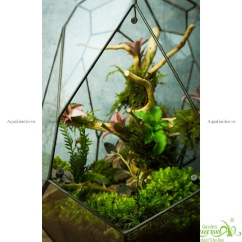 Terrarium 138 - Crystal Swan Egg