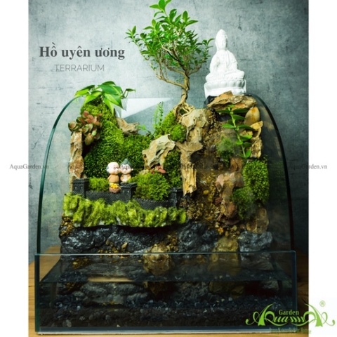Terrarium 137 - Hồ Uyên Ương