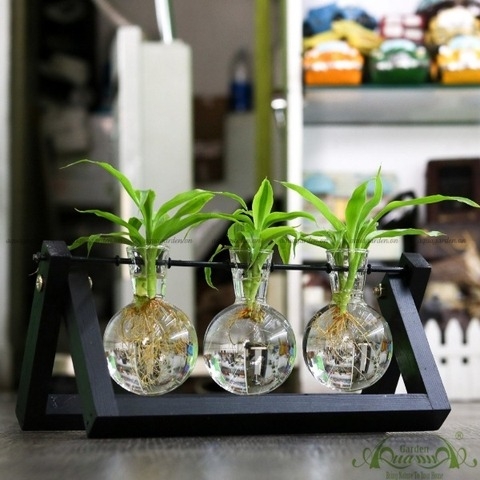 Phát Tài Viền Trắng - Bộ xích đu thủy canh - thủy canh Aquagarden