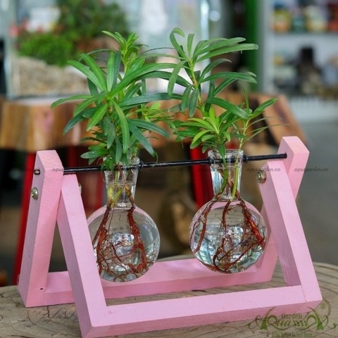 Như Ý - Bộ xích đu thủy canh - thủy canh Aquagarden