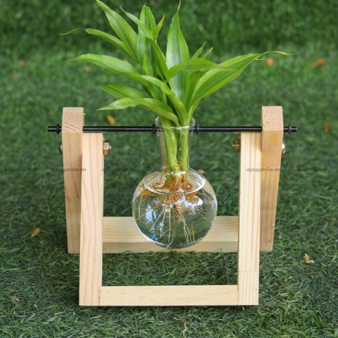 Phát Tài Xanh - Xích Đu Bộ 1