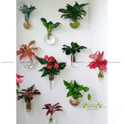 Set Decor 01