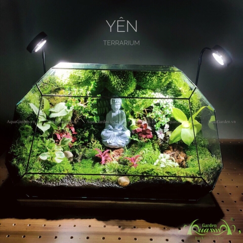 Terrarium 201 - Yên