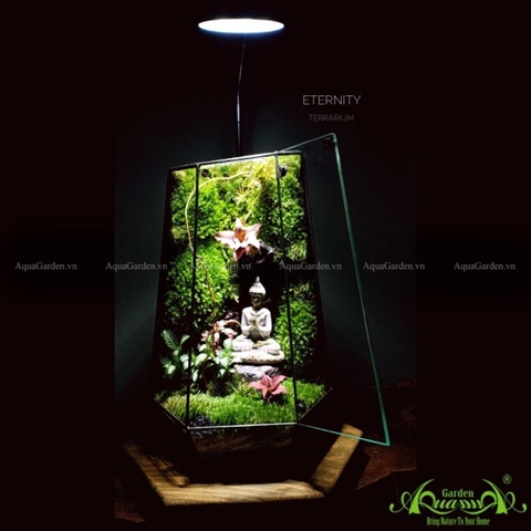 Terrarium 110 - Eternity