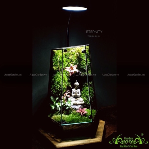 Terrarium 110 - Eternity