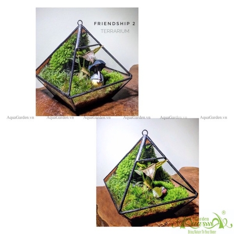 Terrarium 205 - Friendship 2