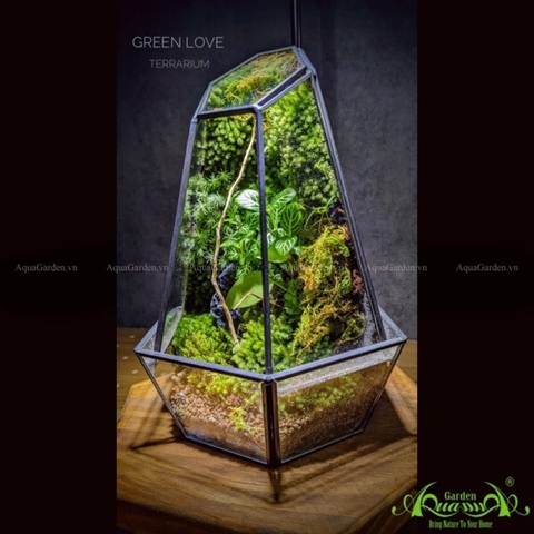 Terrarium 208 - Green Love