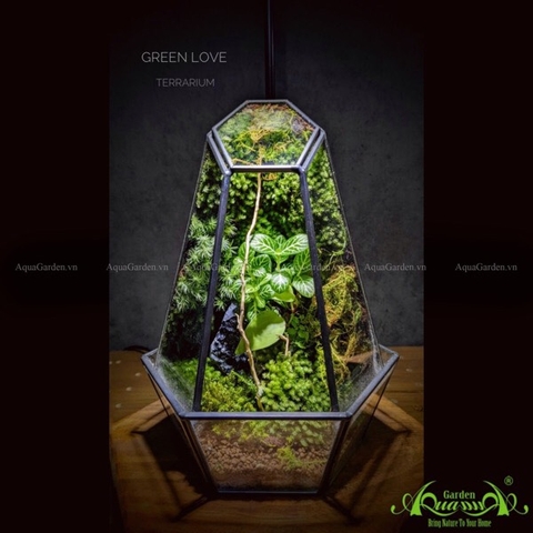 Terrarium 208 - Green Love