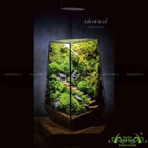 Terrarium 203 - Lối Cũ Ta Về