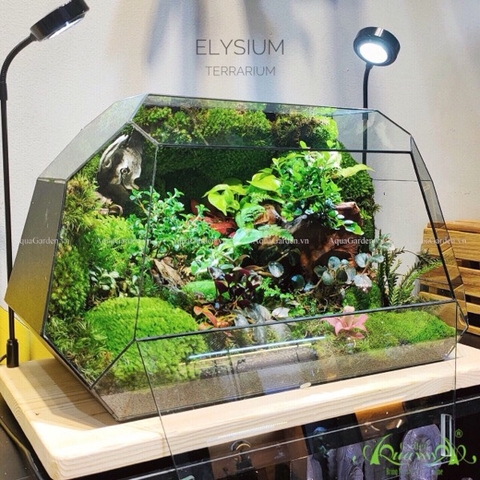 Terrarium 241 - Elysium